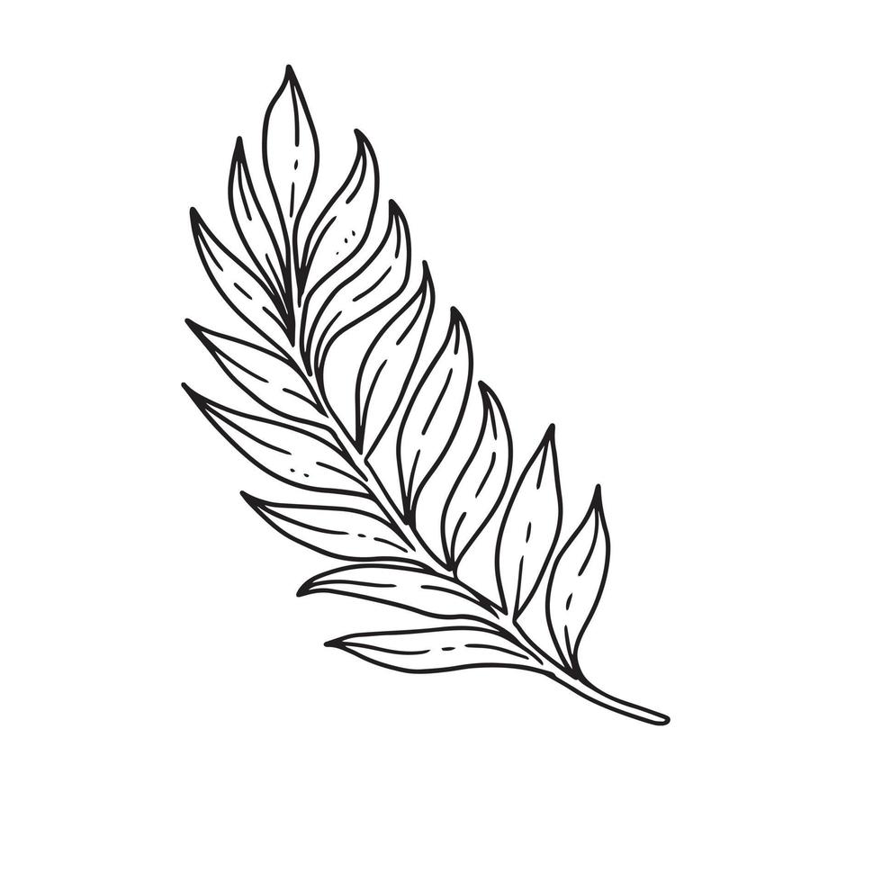 ornamental flower leaves illustration in outline. uncolored element in hand drawn vector for decorating wedding invitations, cards, and any design in floral theme.