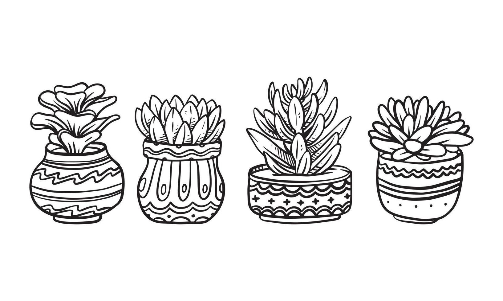 Set of Potted plant hand drawn vector illustration, plant isolated graphic elements for design, Succulent plant with leaves illustration to create romantic or vintage design.