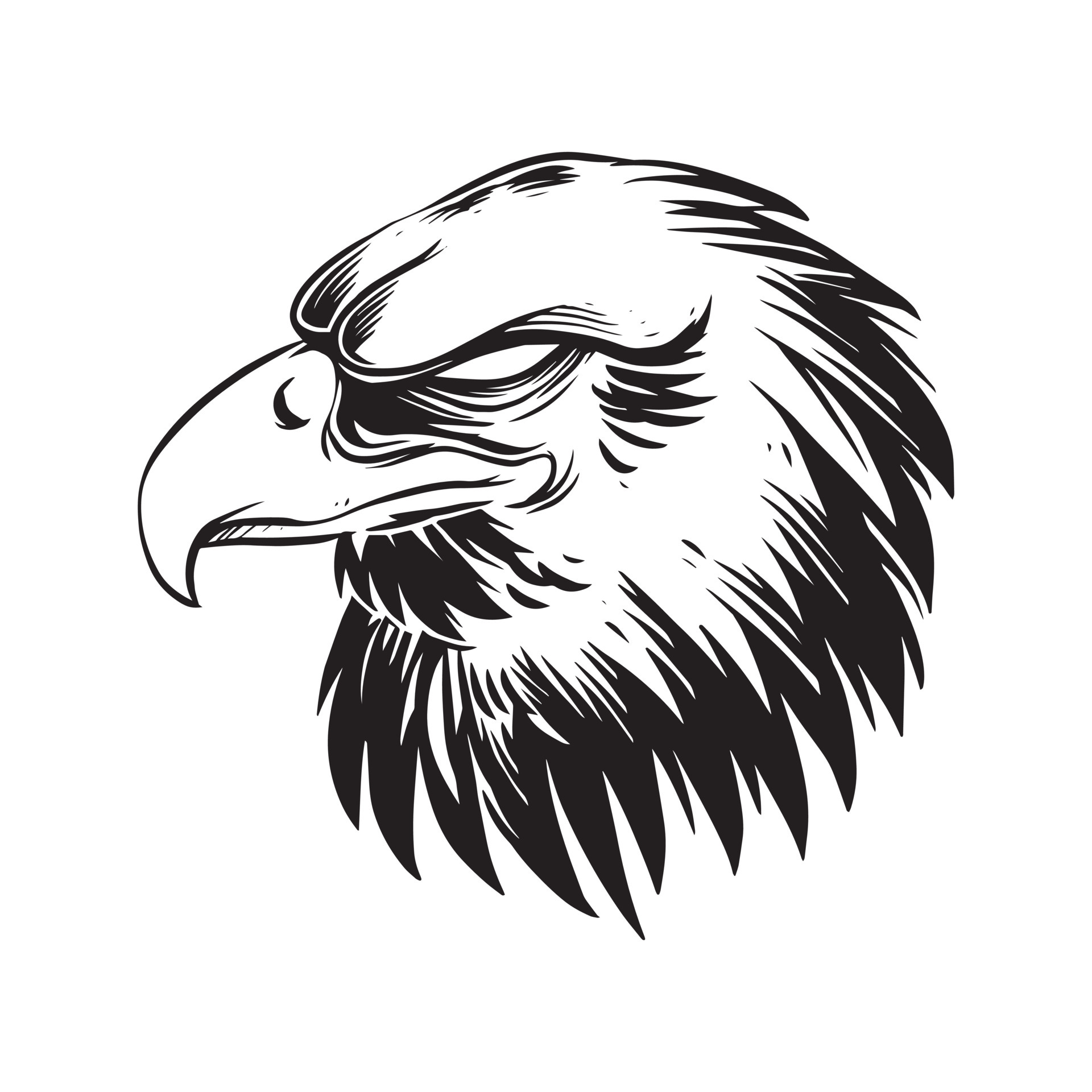 a threatening eagle face in alert. a hand drawn illustration of a wild animal head. line art drawing for emblem, poster, sticker, tattoo, etc. 4735638 Vector Art at Vecteezy