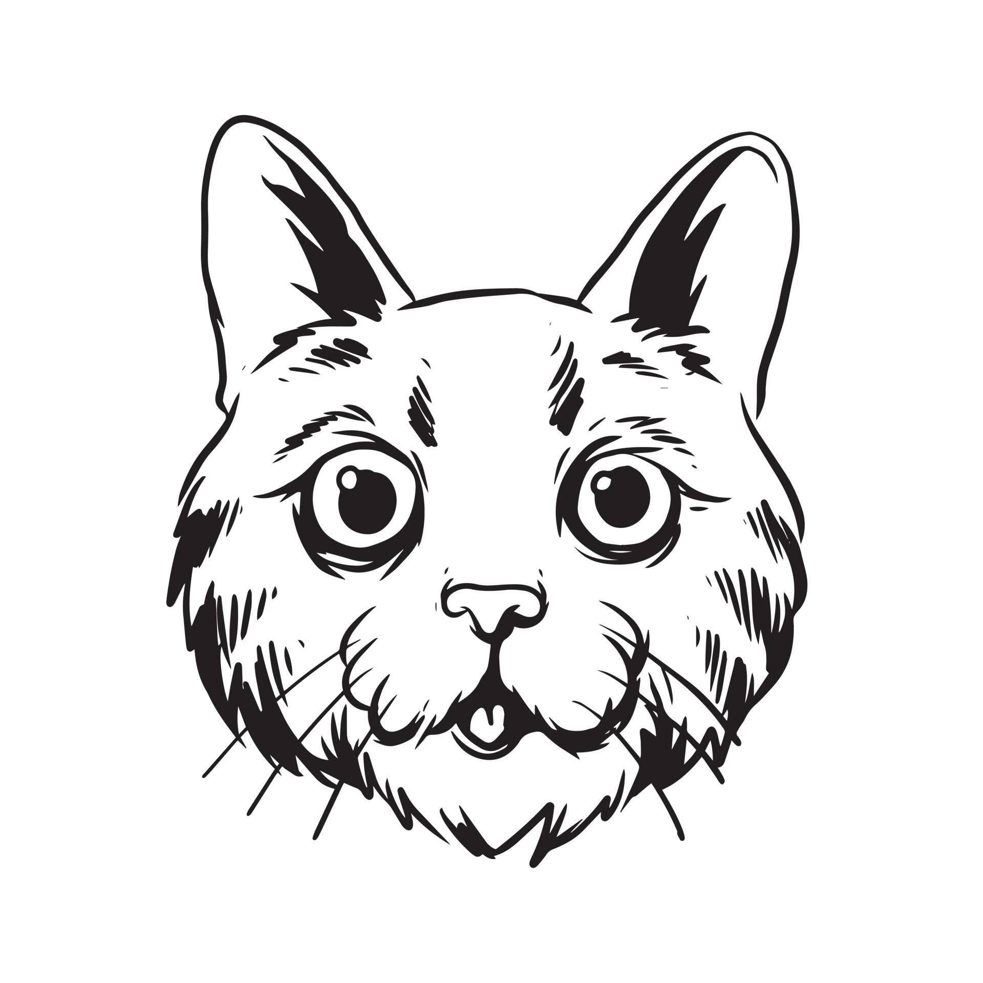 cat face line drawing