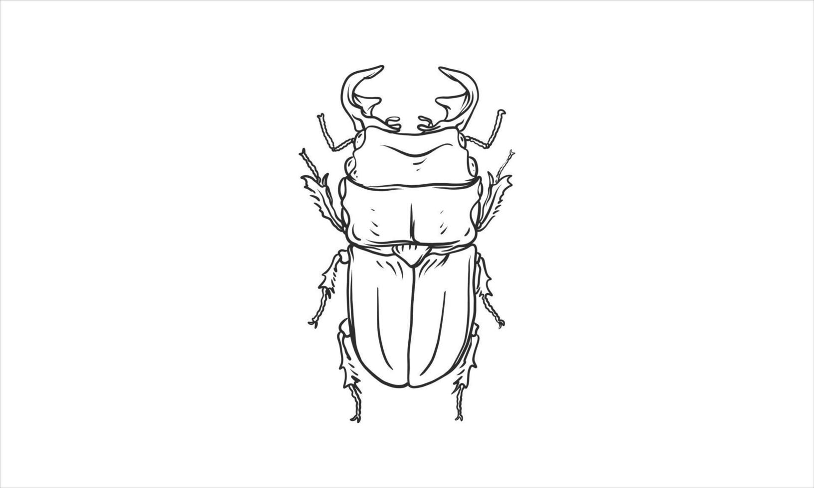 ilustración de escarabajo en una mano incolora dibujada vector