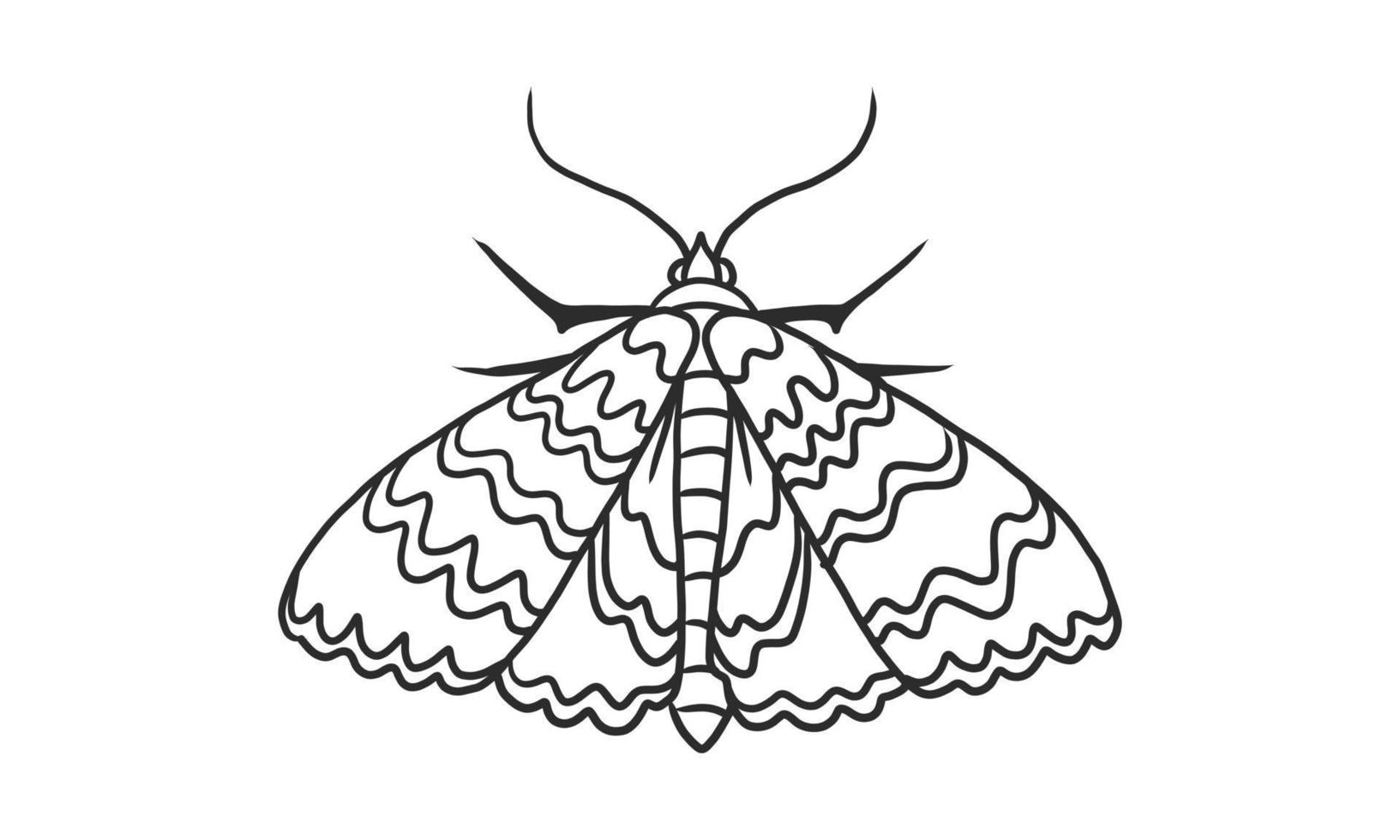 polilla ilustrada en vector de arte lineal