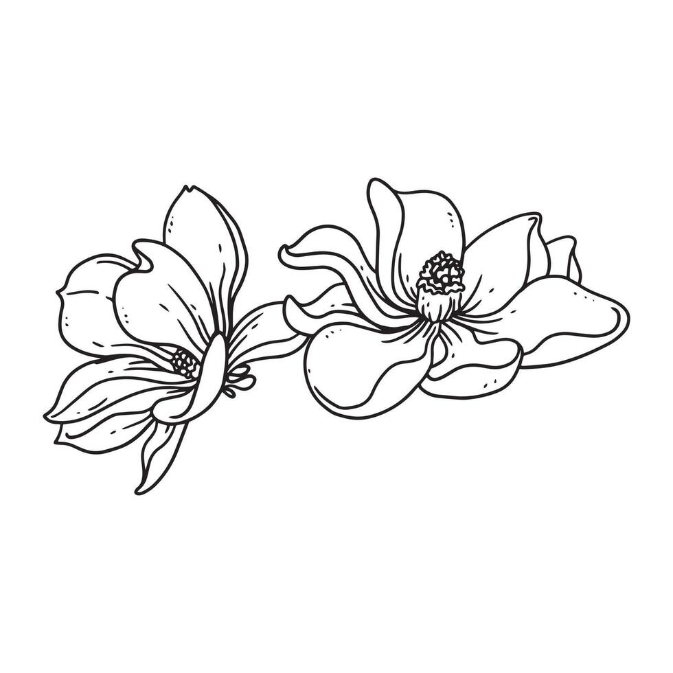 una hermosa ilustración de contorno de frangipani. colección de ilustraciones dibujadas a mano de flores para diseño floral. un elemento de decoración para invitación de boda, tarjeta de felicitación, tatuaje, etc. vector