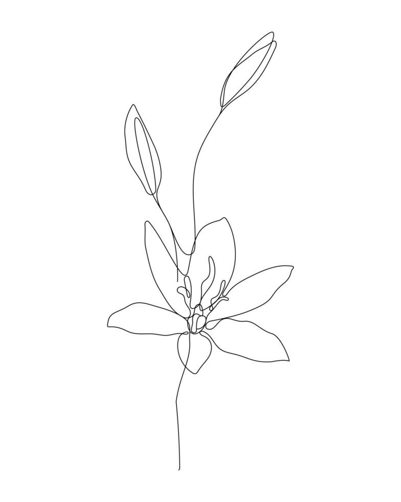 Continuous one line illustration of a flower vector