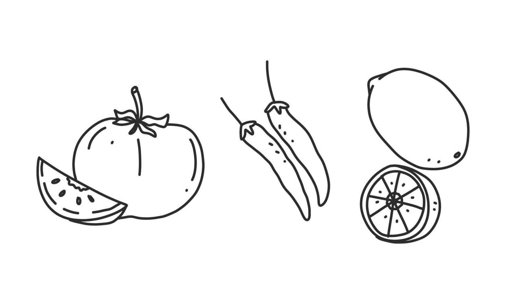 a hand drawn illustration of uncooked ingredients, tomato, chili, and lemon. food and beverage illustrated in an uncolored drawing outline for decorative element design. vector