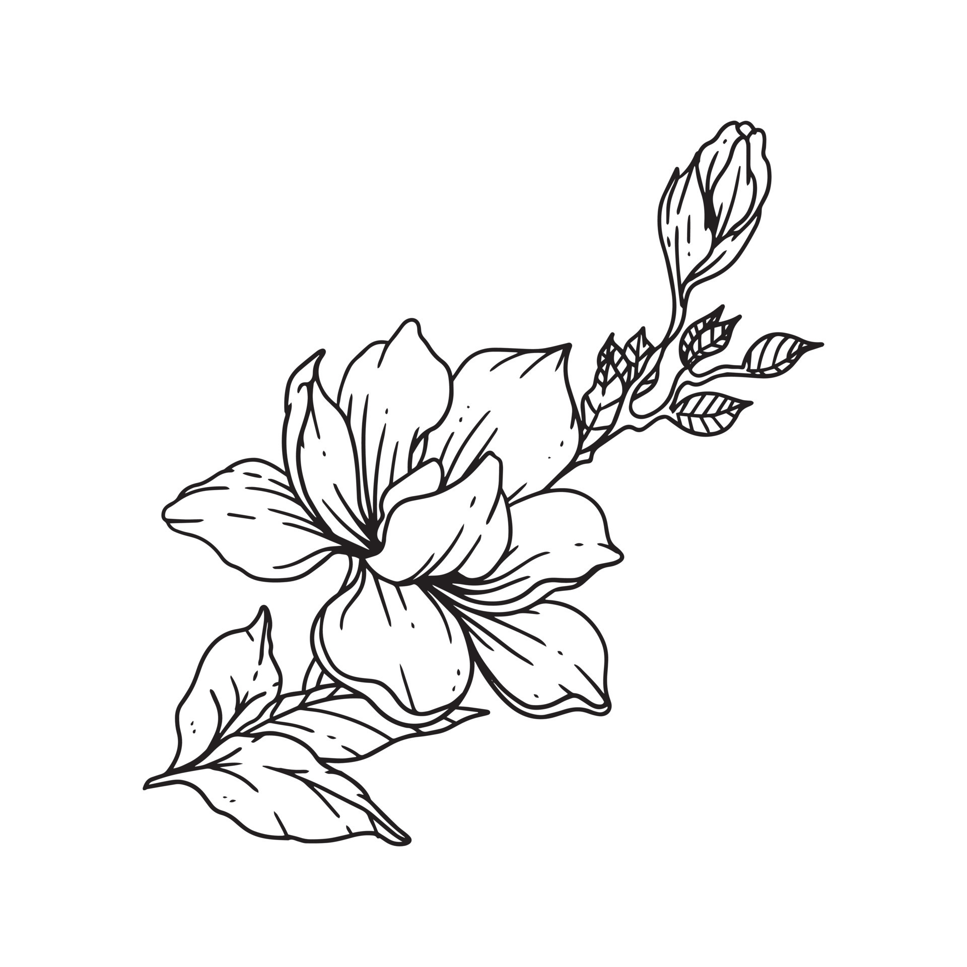 Flower Outline Designs