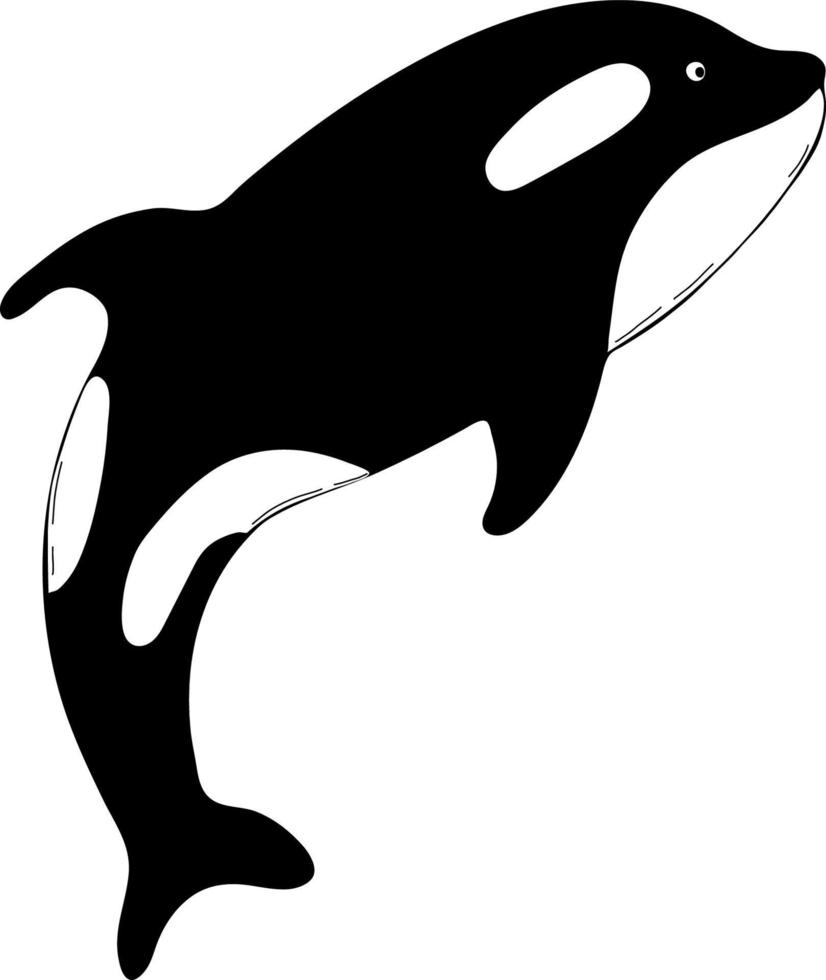 Great killer whale. Vector illustration