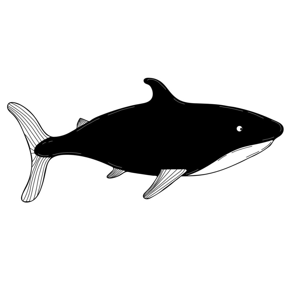 Cute shark.   Vector illustration. Element for Hand Doodle Design and Decor