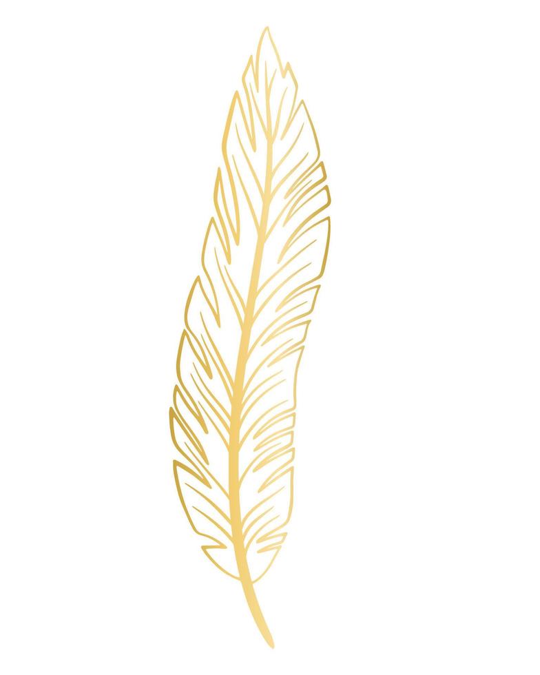 Gold feather isolated vector illustration