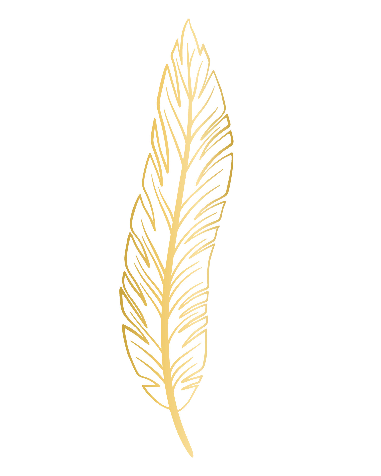 10,400+ Gold Feathers Stock Illustrations, Royalty-Free Vector Graphics &  Clip Art - iStock