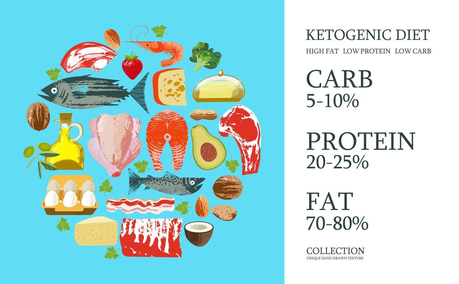 Ketogenic diet. A large set of products for the keto diet. Vector illustration. Meat, fish, vegetables, oils, nuts, eggs. Colorful poster with different products.