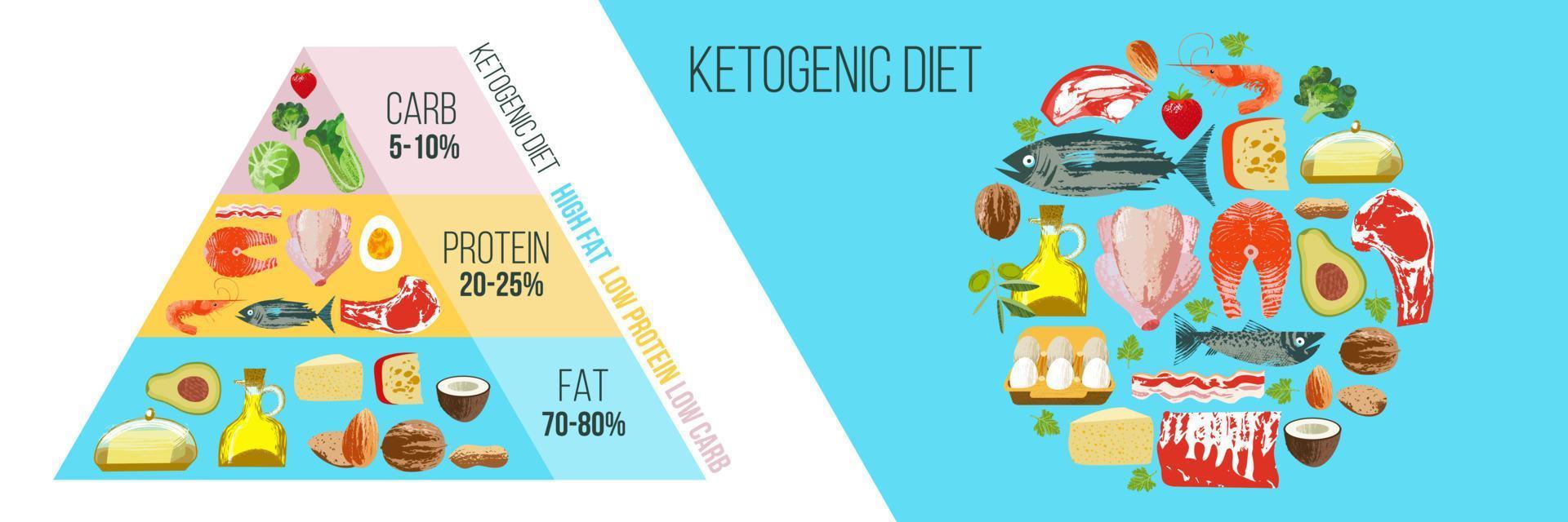 dieta cetogénica. un amplio conjunto de productos para la dieta cetogénica. pirámide ceto. ilustración vectorial. vector