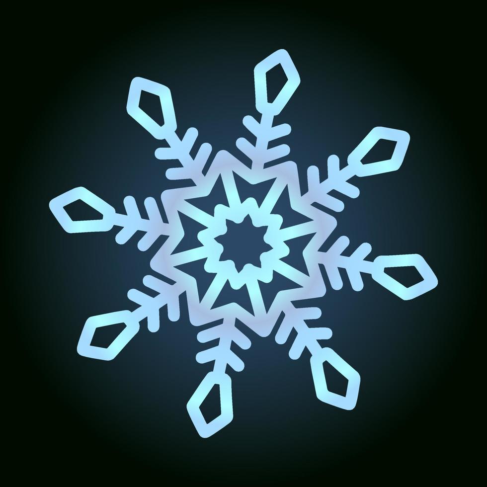 beautiful snowflake for winter design, symbol of new year and christmas holidays vector