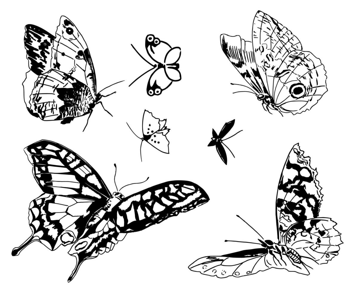 Swarming Butterfly Spring Garden vector