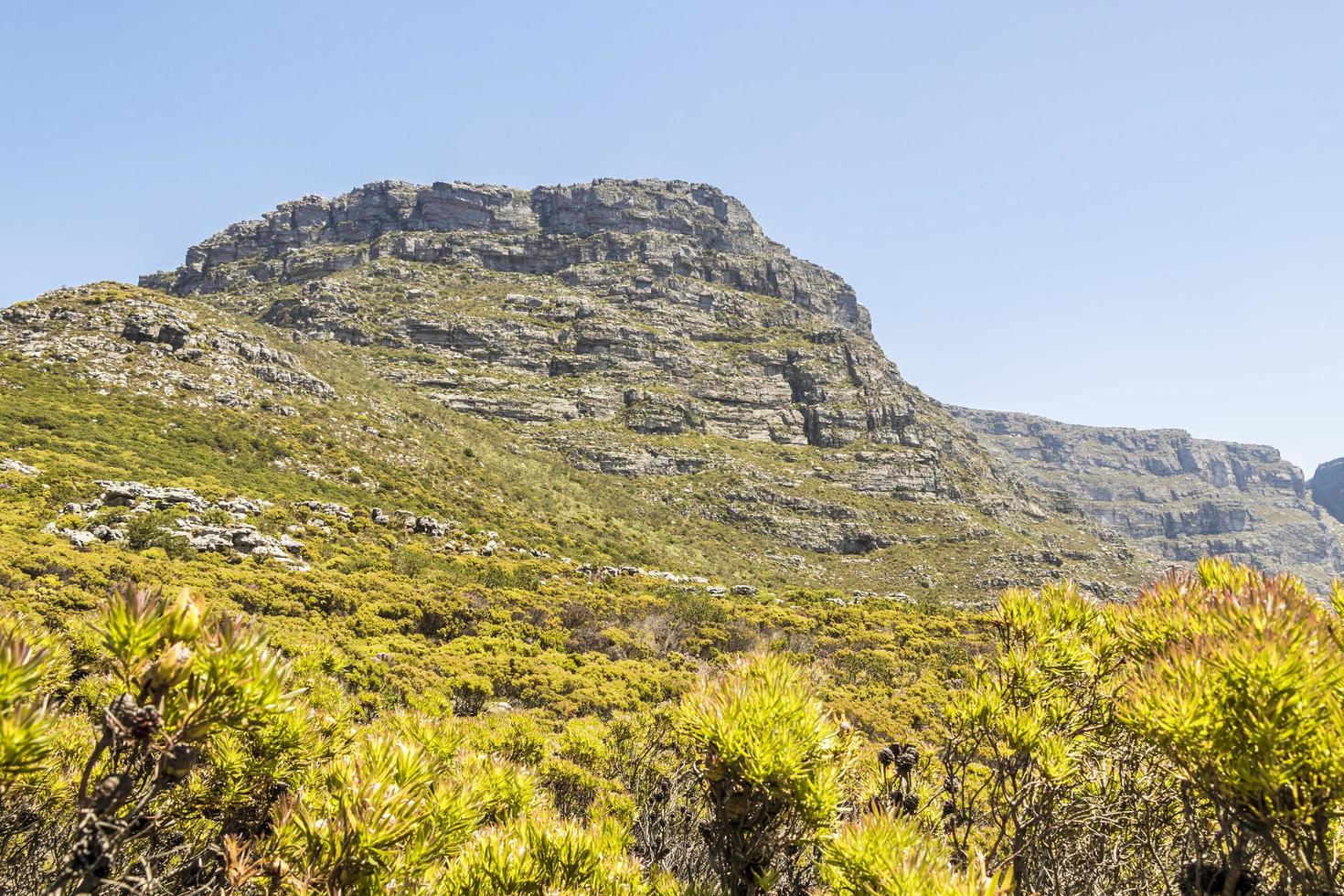 vista desde el parque nacional de table mountain ciudad del cabo, sudáfrica. foto