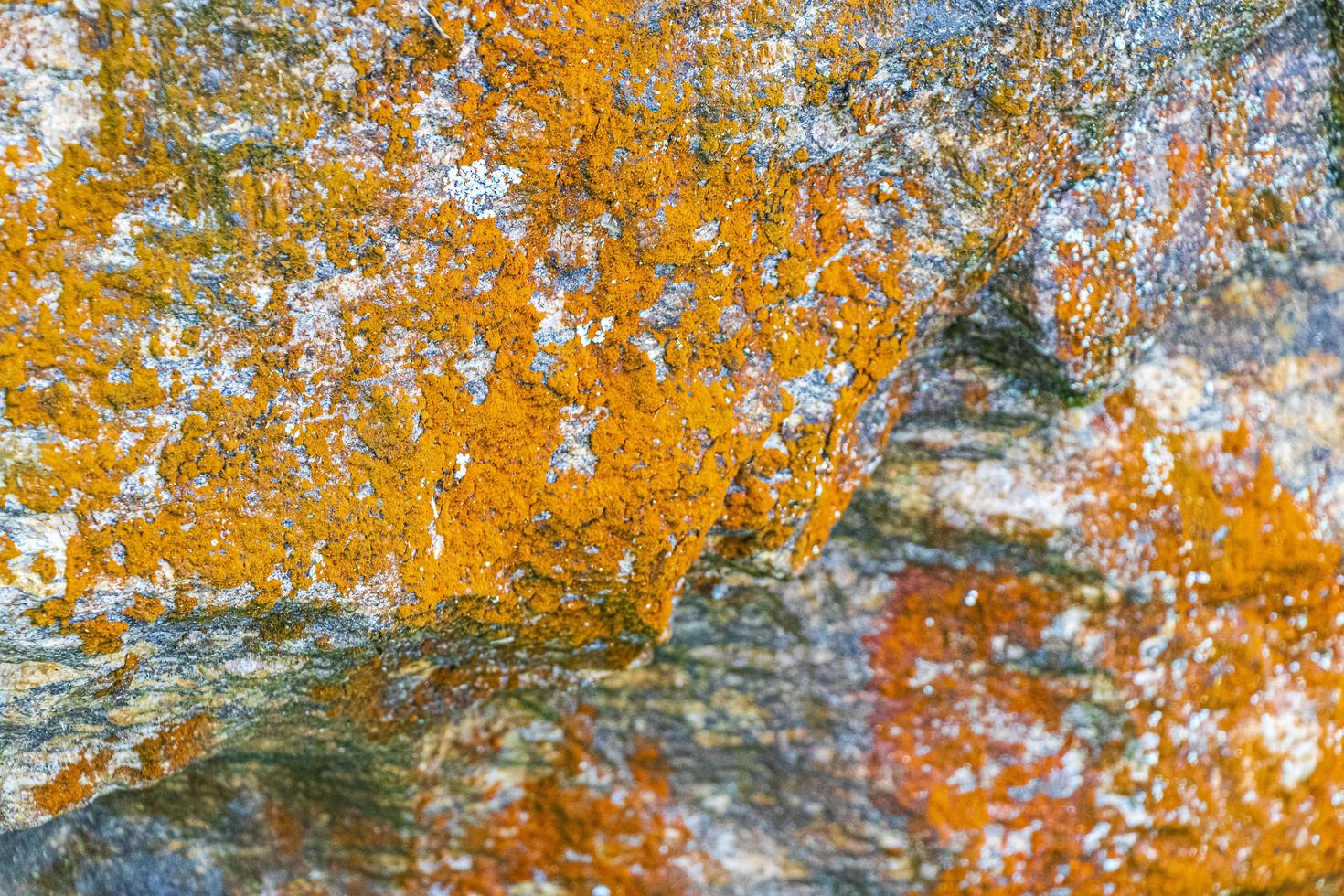 Textura de roca de piedra con musgo verde y líquenes en Brasil. foto