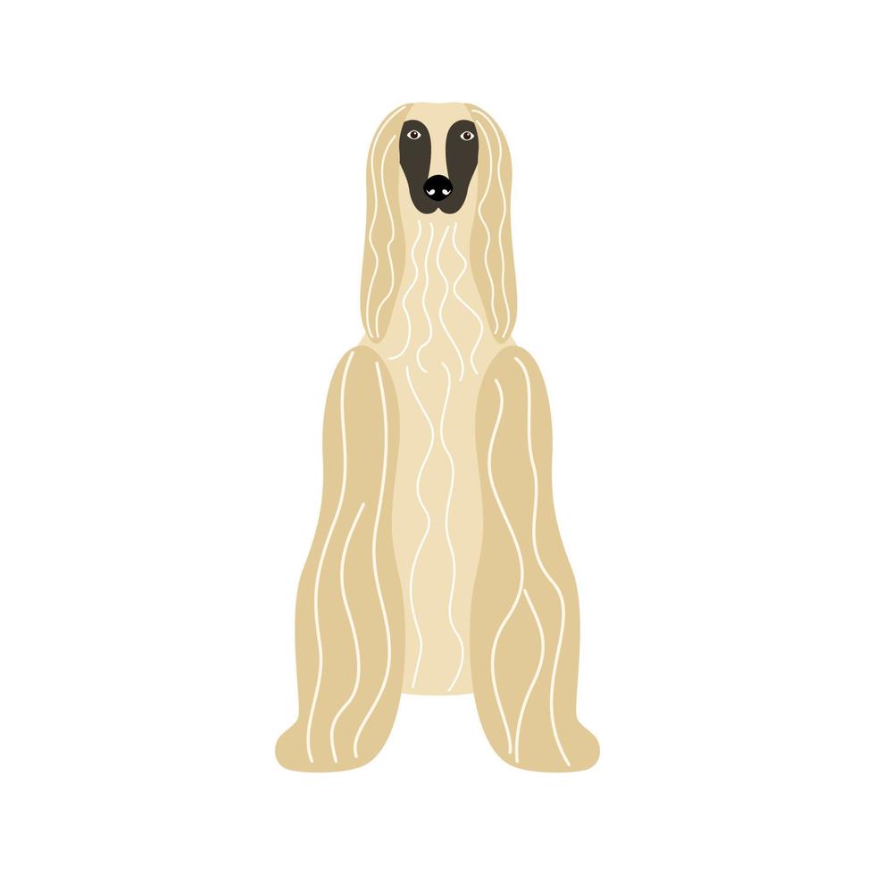 Dog breed Afghan Hound. Vector illustration of a vintage pet