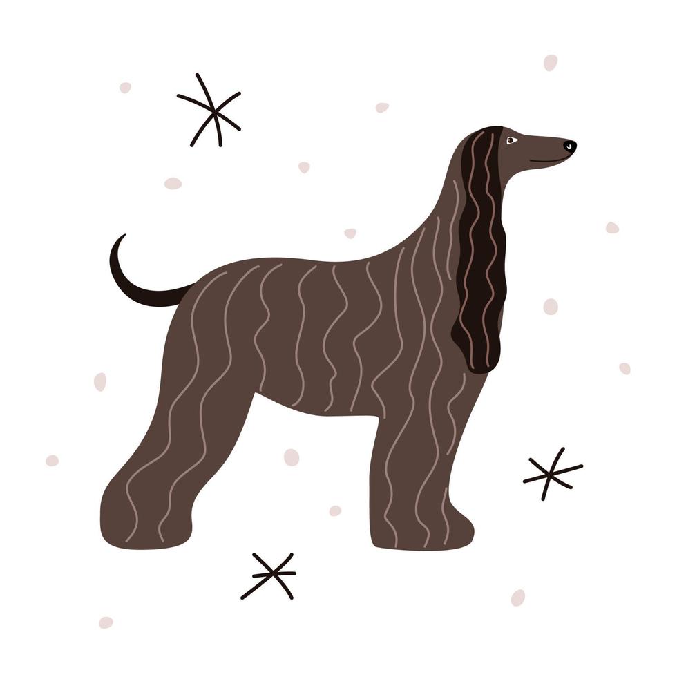 Dog breed Afghan Hound. Vector illustration of a vintage pet