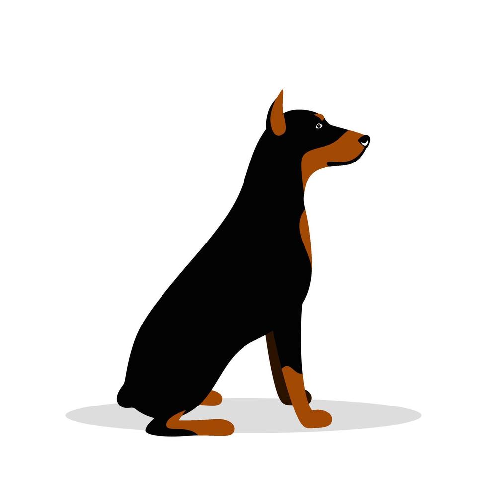 Vector cute dog Doberman Pinscher