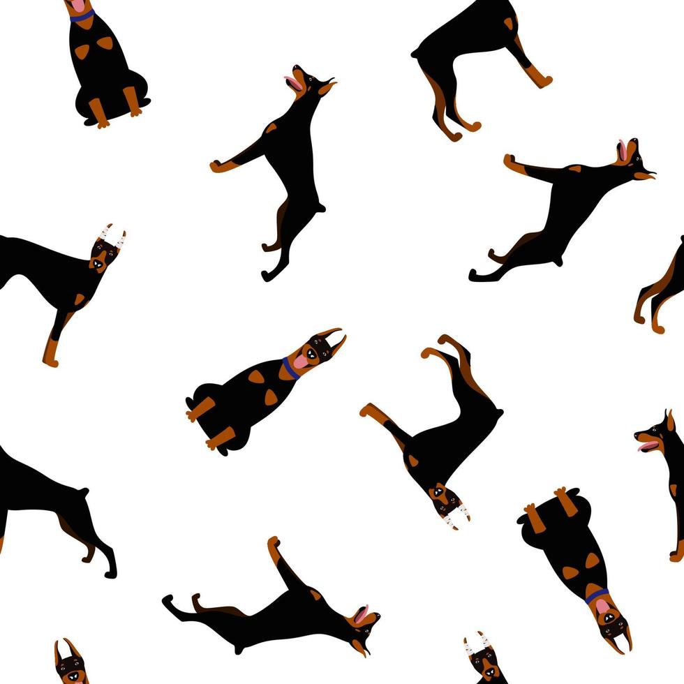 patrón sin fisuras de un conjunto de poses de la raza de perro doberman pinscher vector