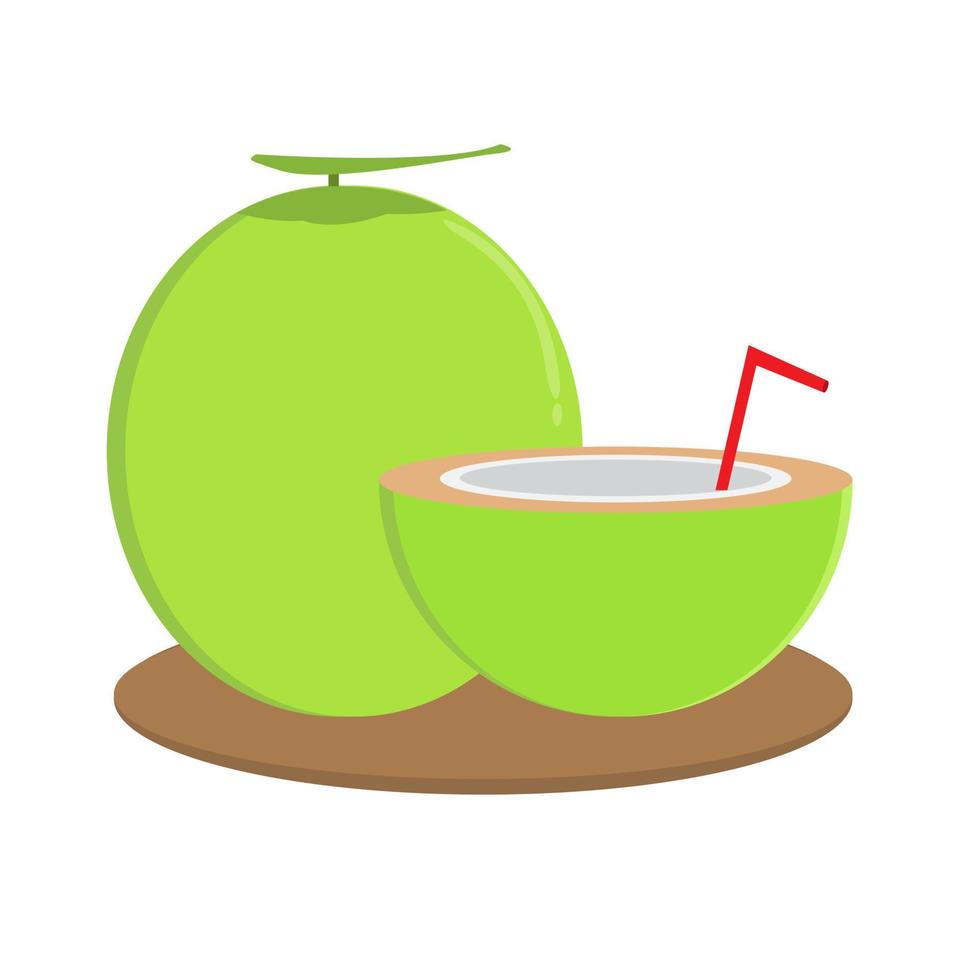 Coconut vector ilustration can be used for business