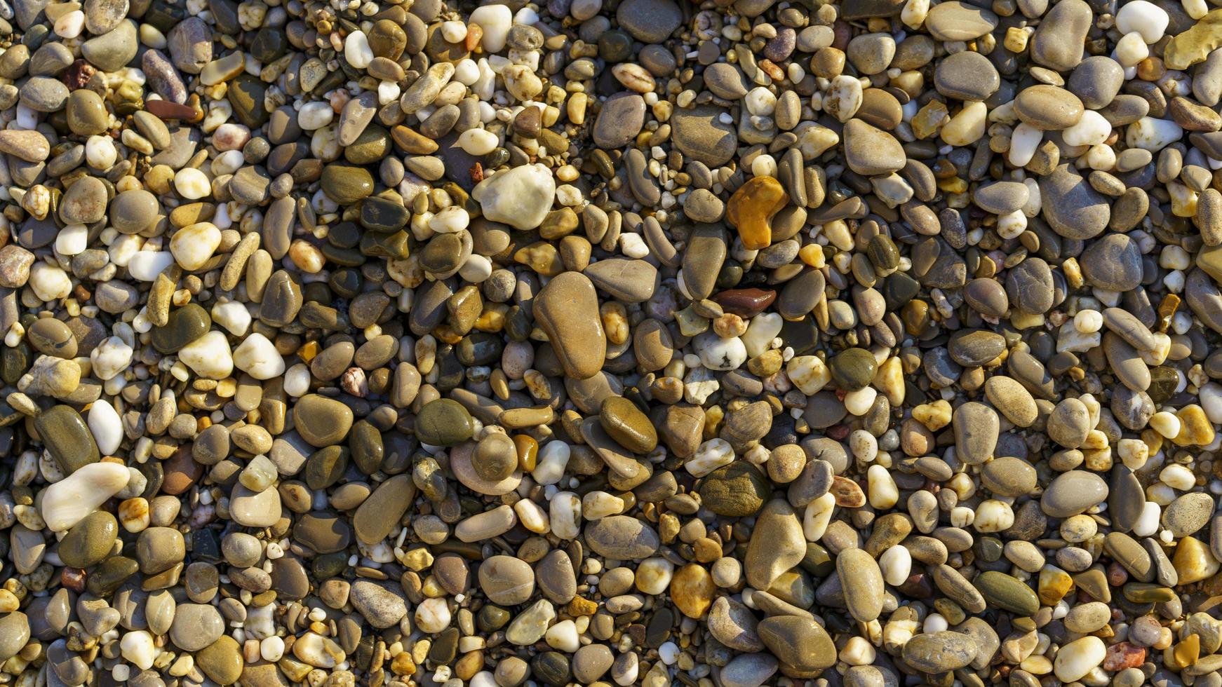 Natural textured background of multicolored pebbles photo