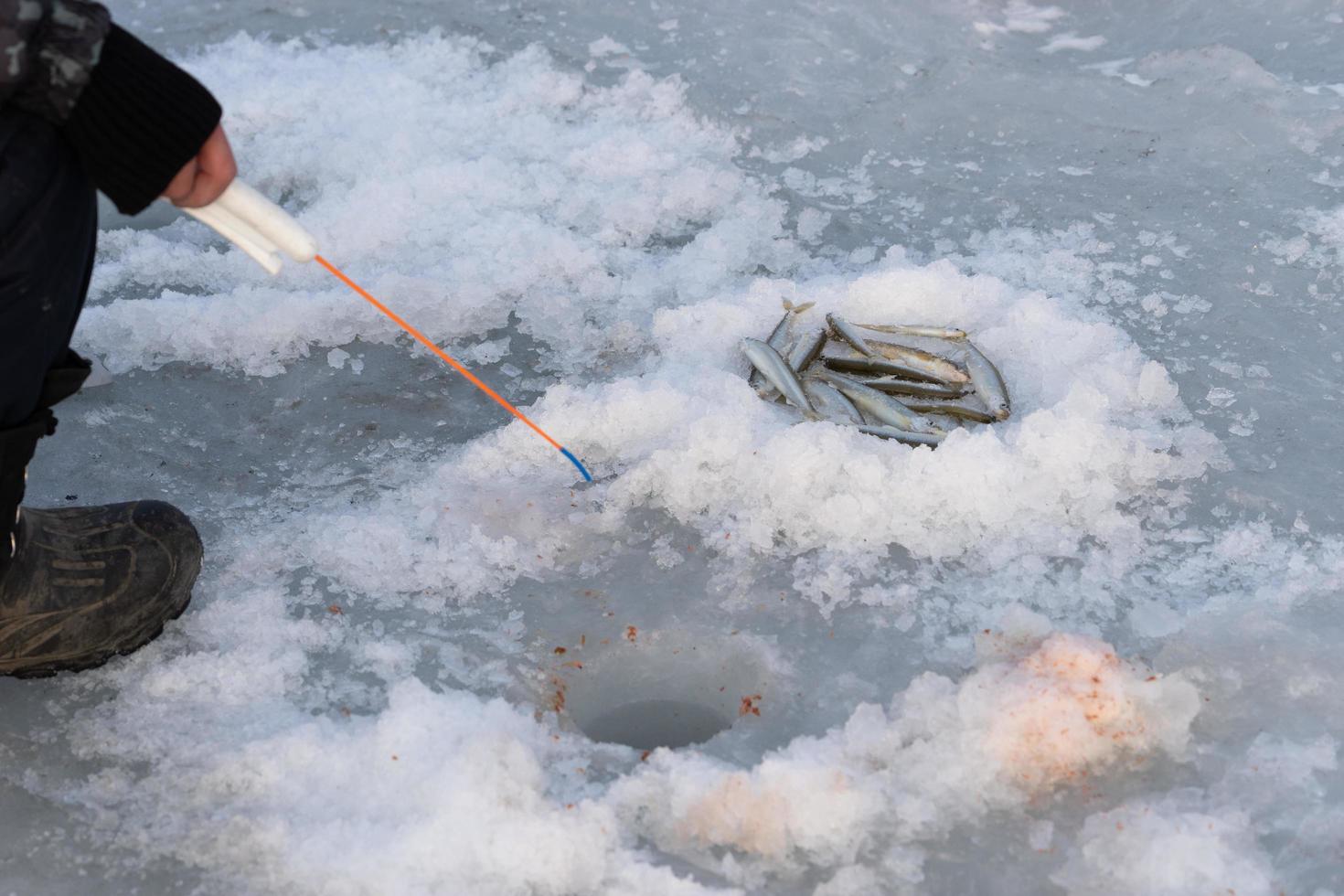 Winter fishing, ice fishing. Vladivostok, Russia photo