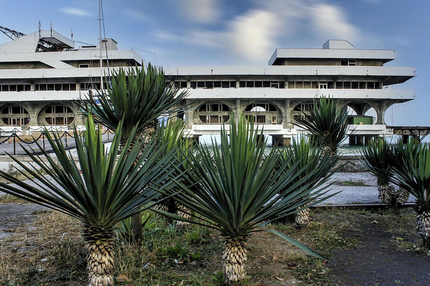 paisaje con arbustos de yuca en el fondo de la estación marítima en sujumi foto