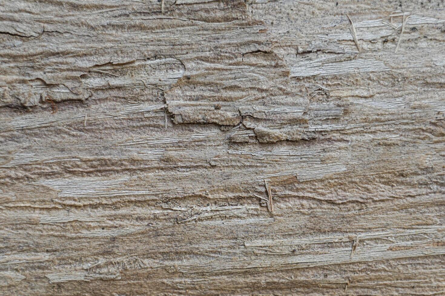 the abstract surface of the uneven wood for a background pattern. a detailed element graphic for a creative design. photo