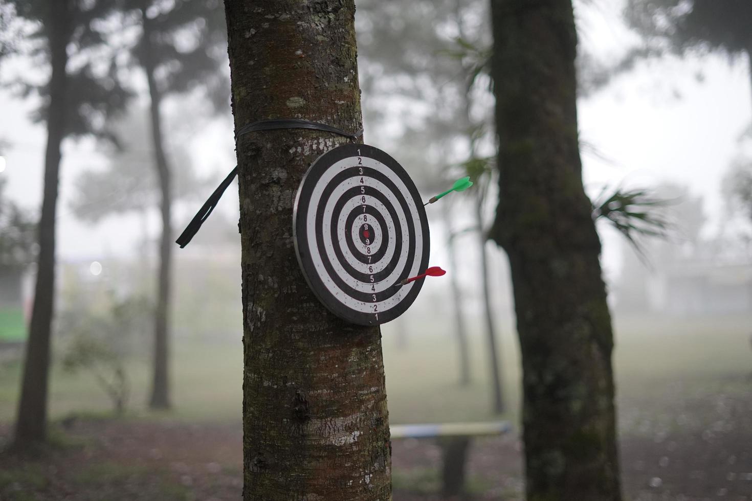 un tablero de dardos en el árbol. jugando un dardo en el bosque para aliviar el cansancio del trabajo. una actividad divertida para entrenar la concentración. foto