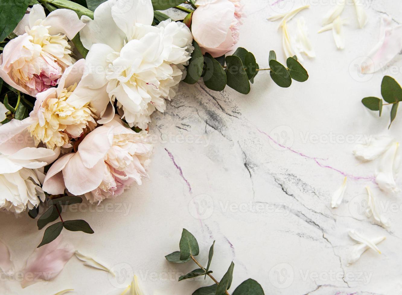 Background with pink peonies photo