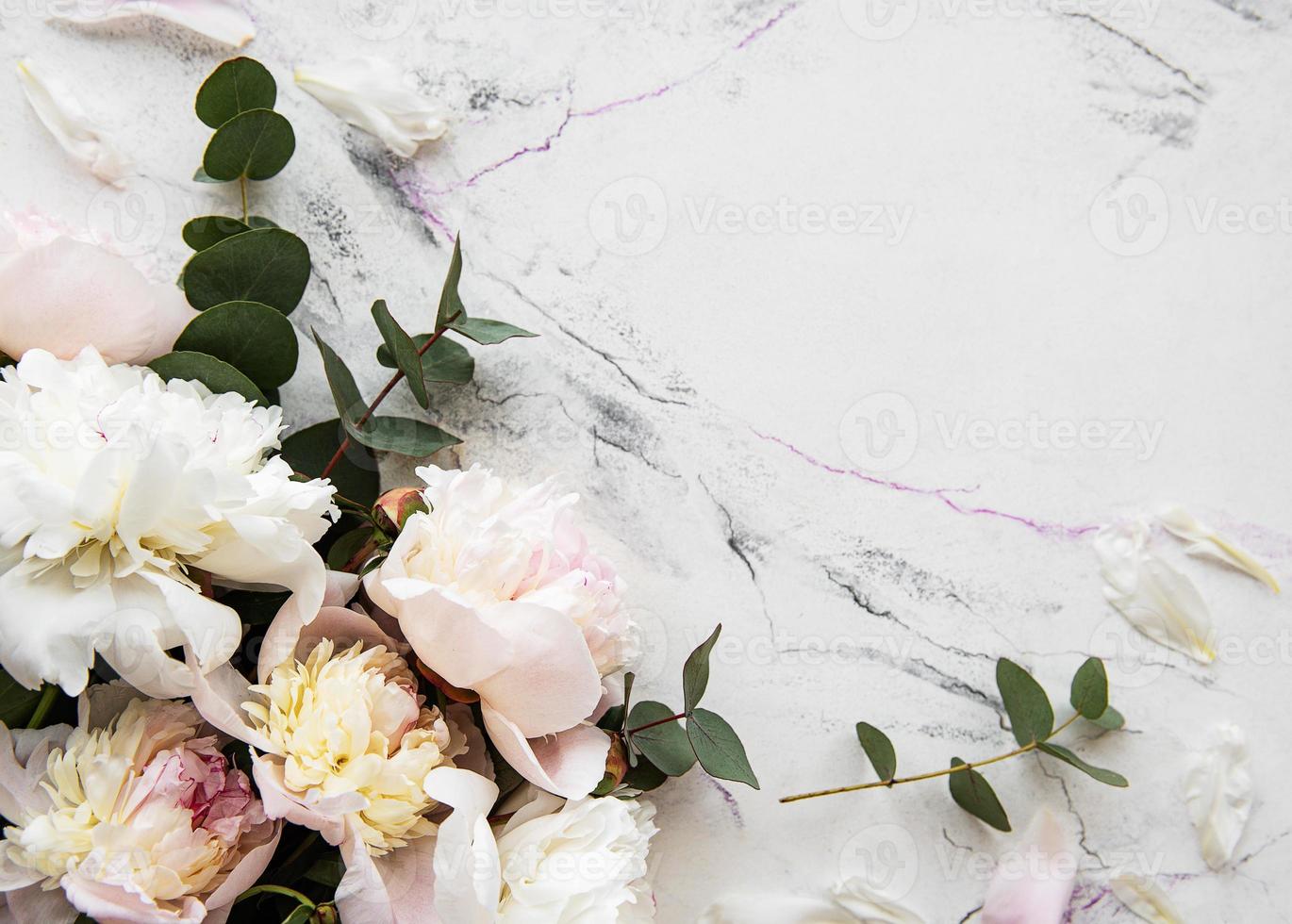 Background with pink peonies photo