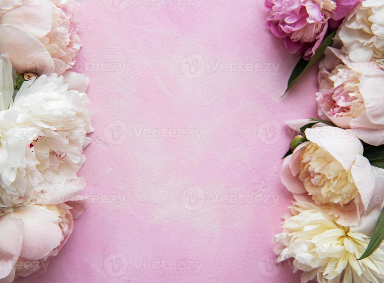 Background with pink peonies photo