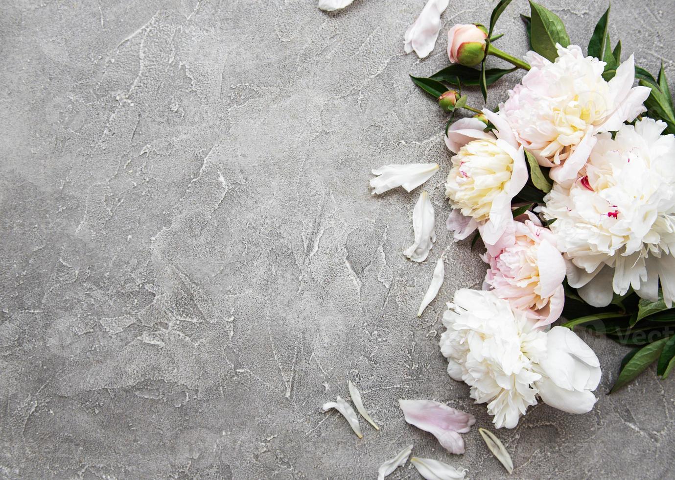 Background with pink peonies photo
