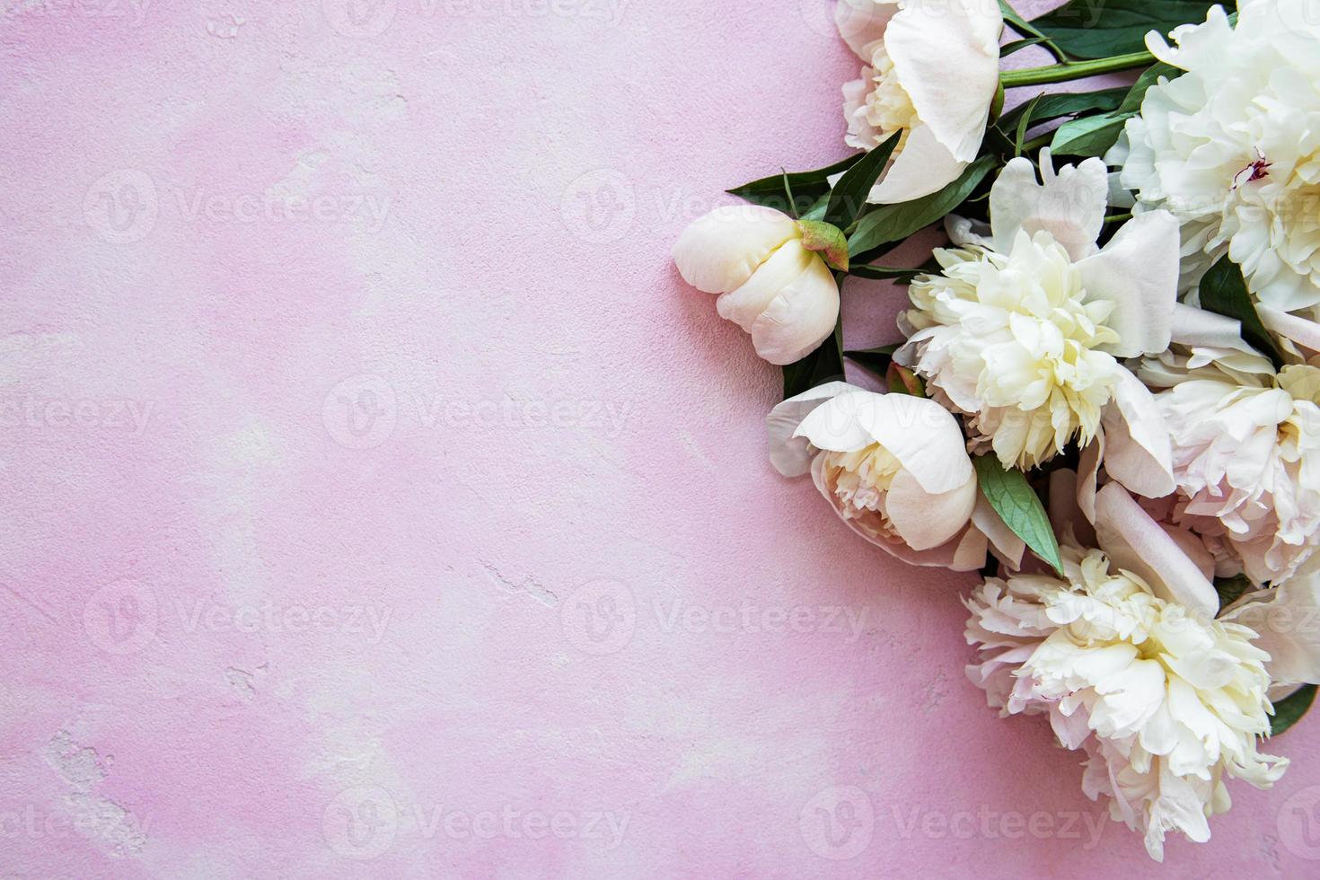 Background with peonies photo