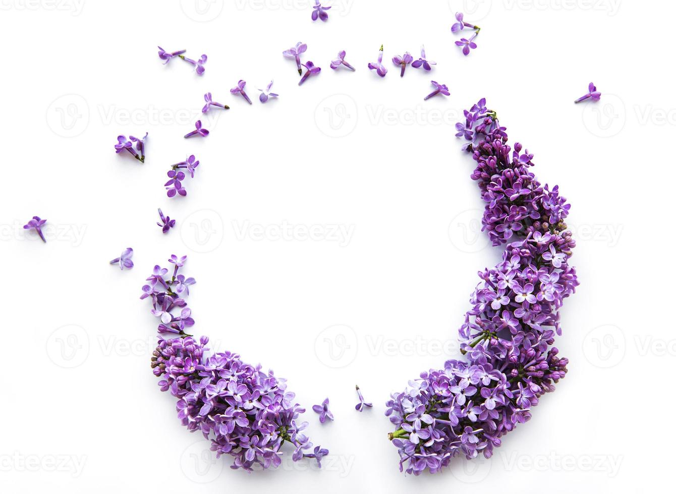 Frame of branches and flowers of lilac in the shape of a cicle photo