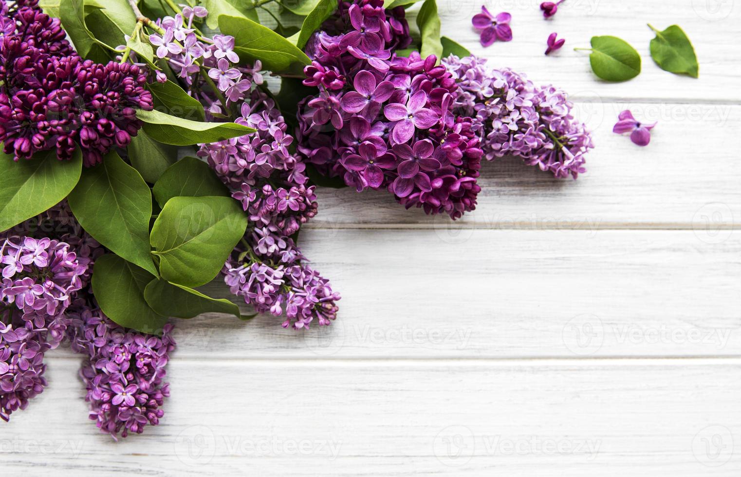 Lilac in flat style on white wooden background. Beautiful spring. Overhead view. Flat lay, top. Summer season. Natural spring style. photo