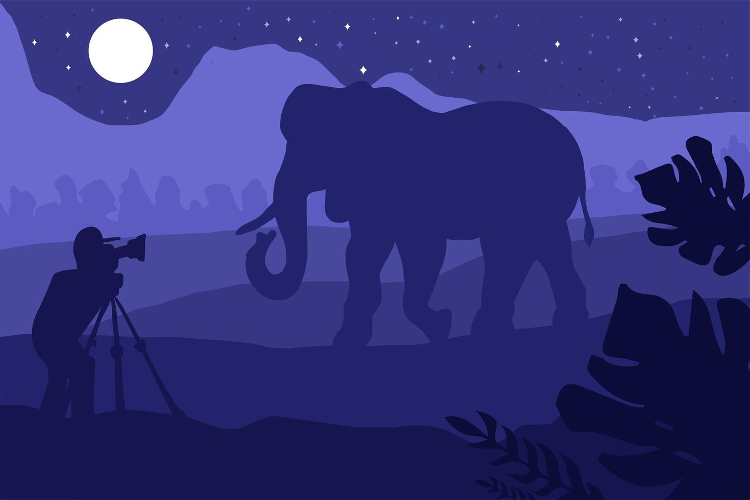 Photographer photographs elephant in nature vector