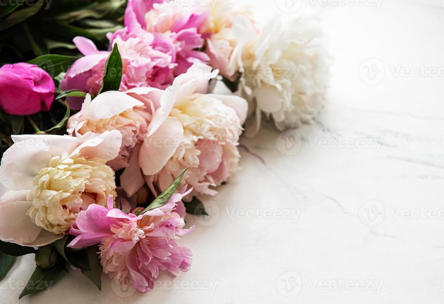 Background with pink peonies photo