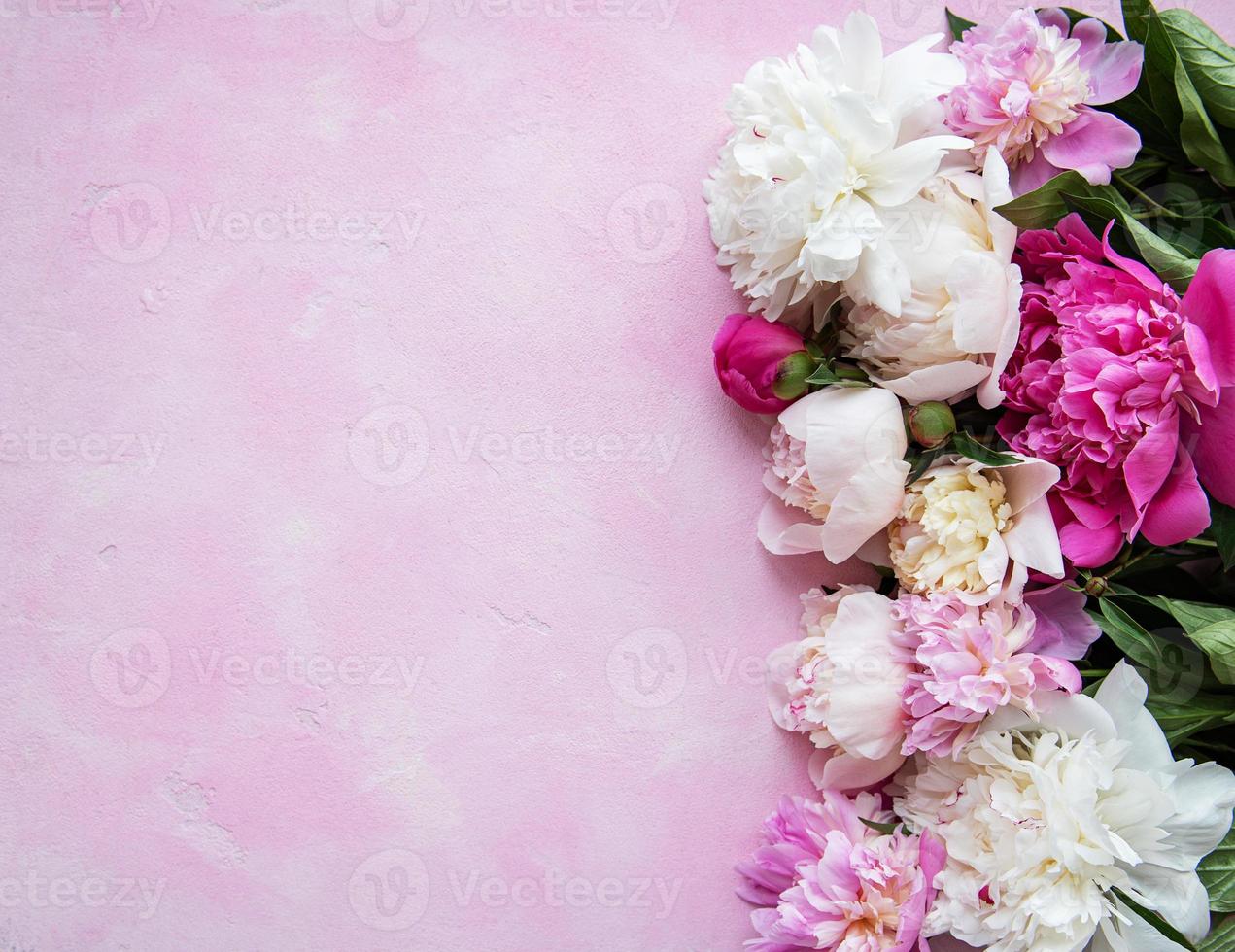 Background with pink peonies photo