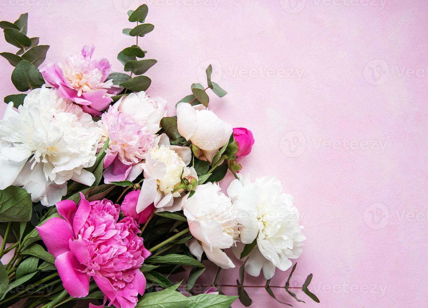 Background with pink peonies photo