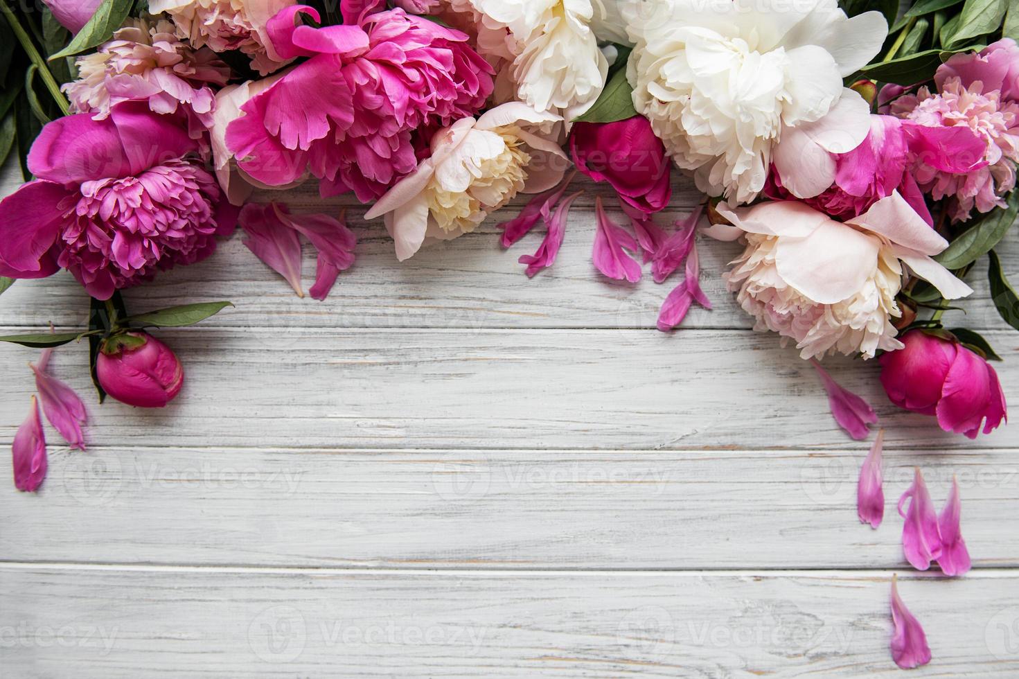 Background with pink peonies photo