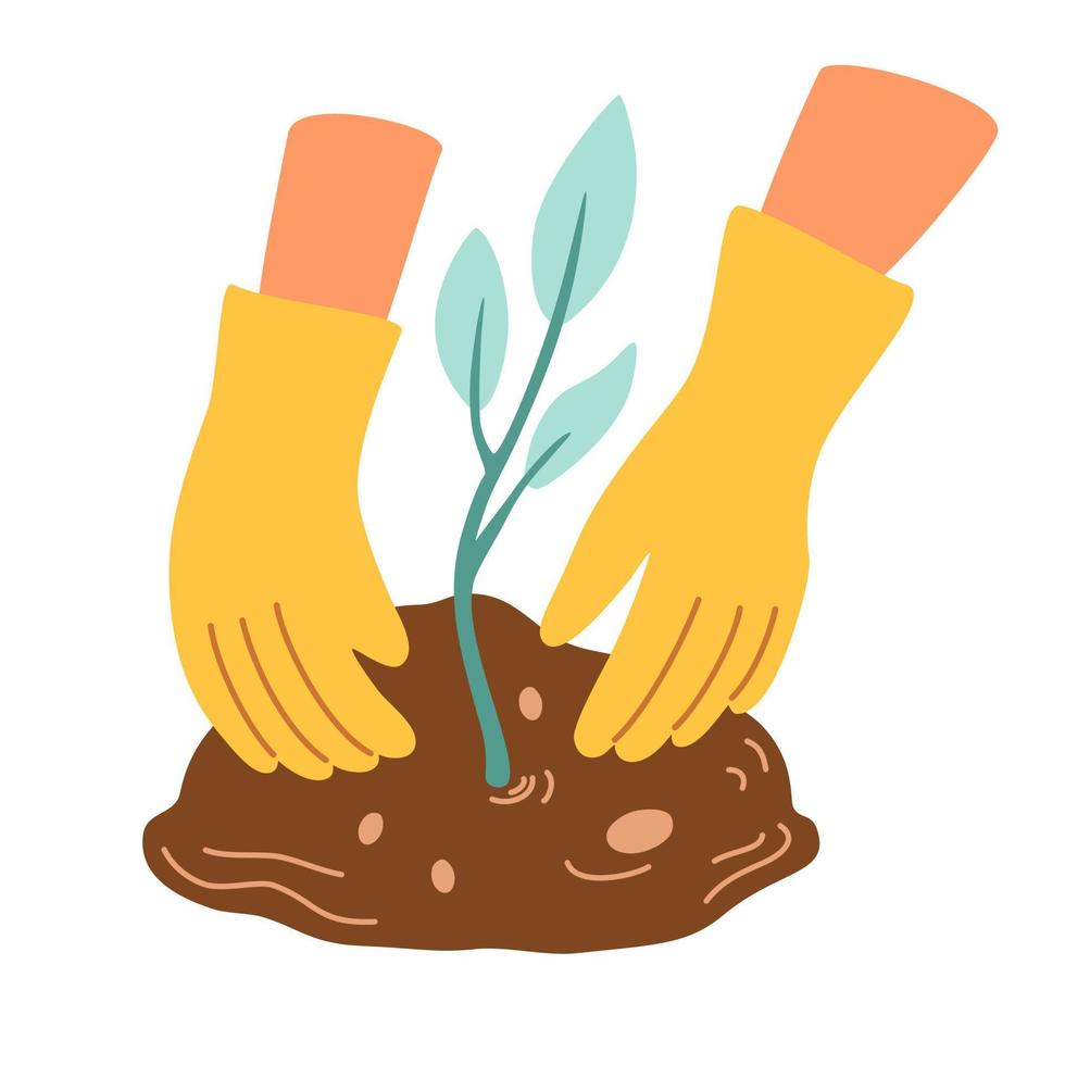 Hands plant. Young sprout, plant care, hands in gloves. Floristry and gardening. Plant and transplant seedlings, growing vegetables in the garden. Flat cartoon vector illustration