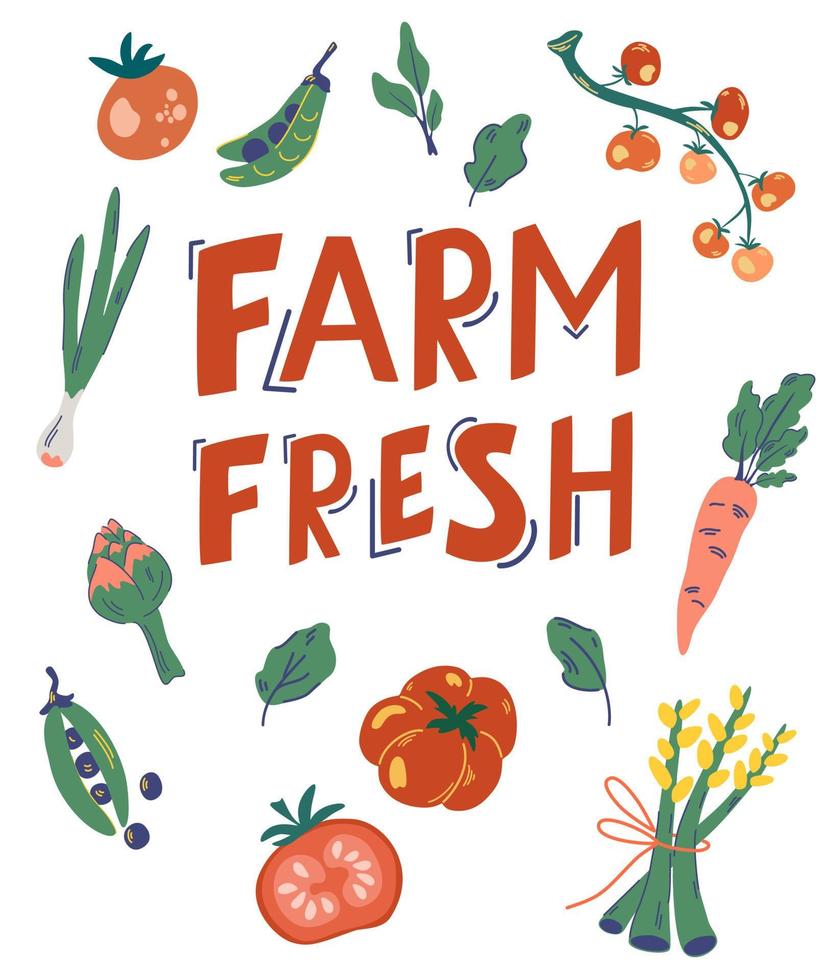 Vegetables collection. Farm fresh. Eco products cliparts. Natural and organic food. Farmers market bio produce. Tomatoes, asparagus, carrots, peas, onions, lettuce and artichokes. Vector