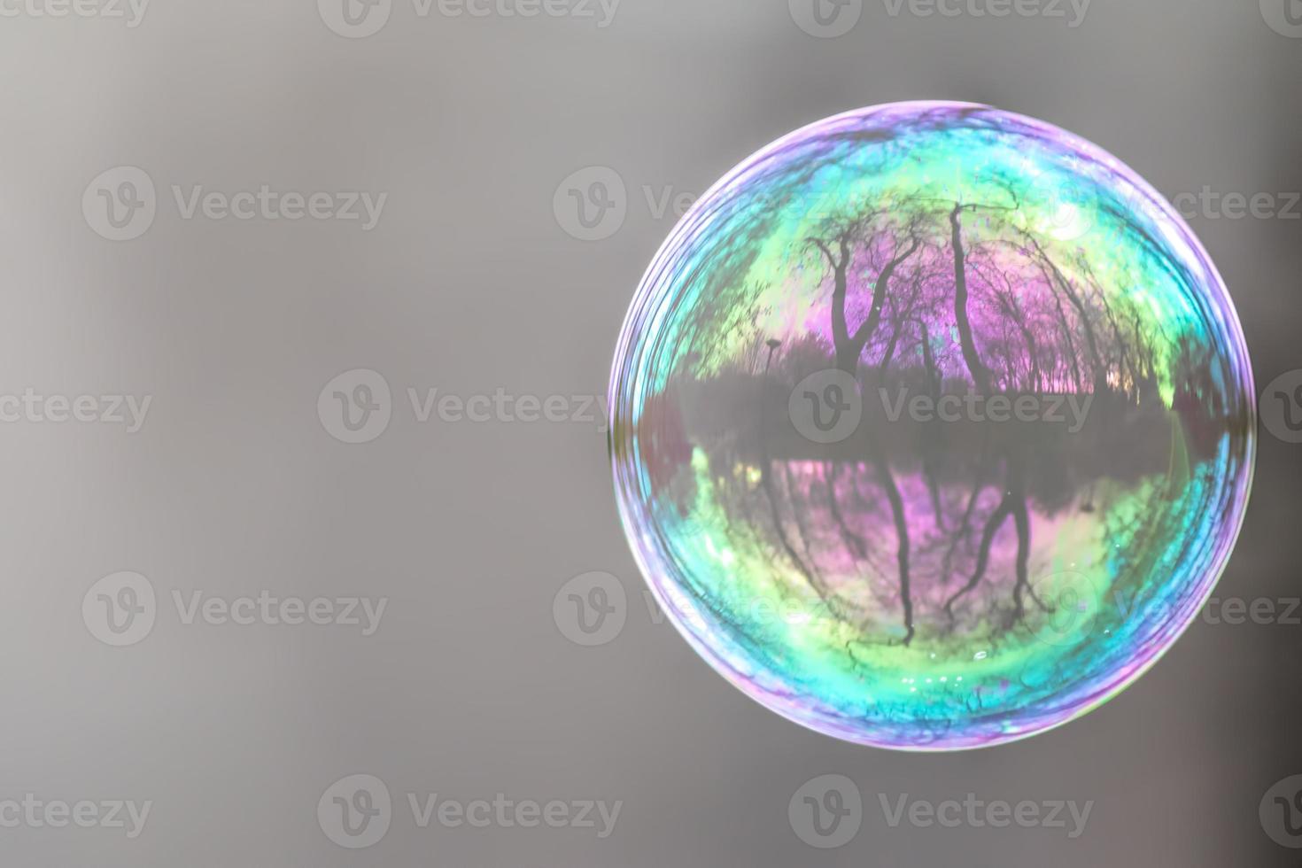 Lonely Colorful Soap Bubble with Reflection of Trees and Sky Inside It photo