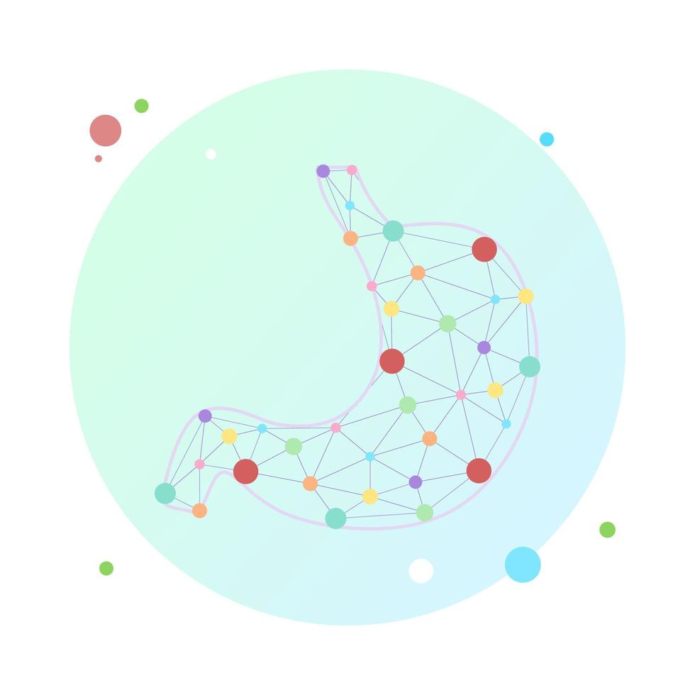 Human stomach dot connected. Healthy human internal digestion organ made by points and lines, polygonal wireframe mesh, low poly vector illustration. Human healthy medicine drug treatment stomach.