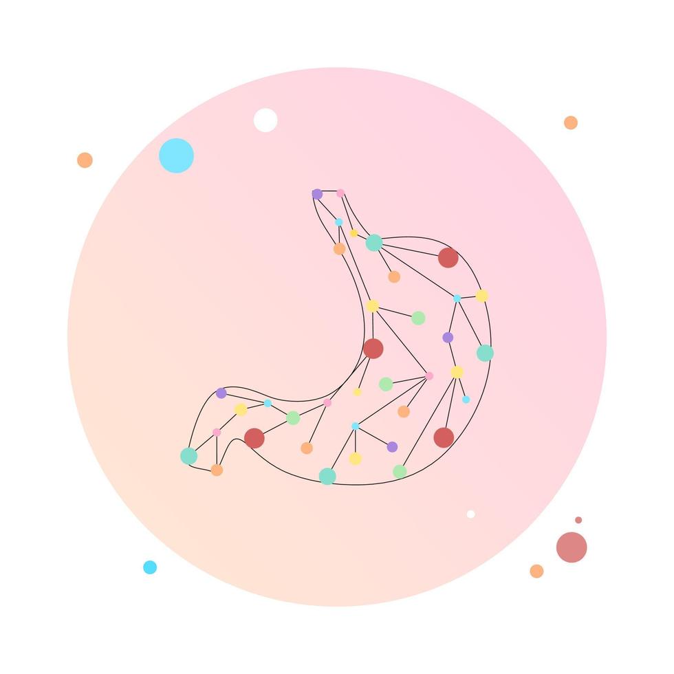 Human stomach dot connected. Healthy human internal digestion organ made by points and lines, polygonal wireframe mesh, low poly vector illustration. Human healthy medicine drug treatment stomach.
