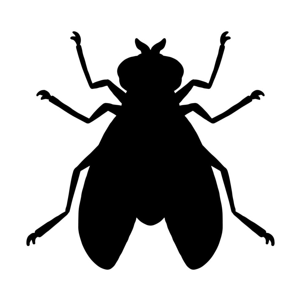 Fly insect. Black silhouette. Design element. Vector illustration isolated on white background. Template for repellent.
