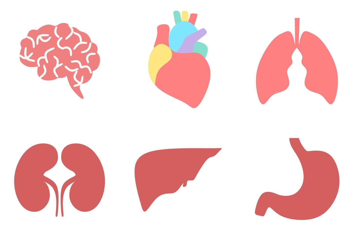 concepto de tecnología de puntos y líneas de órganos internos humanos. cerebro, hígado, estómago, corazón, pulmones, riñones conectados ilustración. Cartel científico de anatomía para la ilustración de vector de diseño de libro escolar.