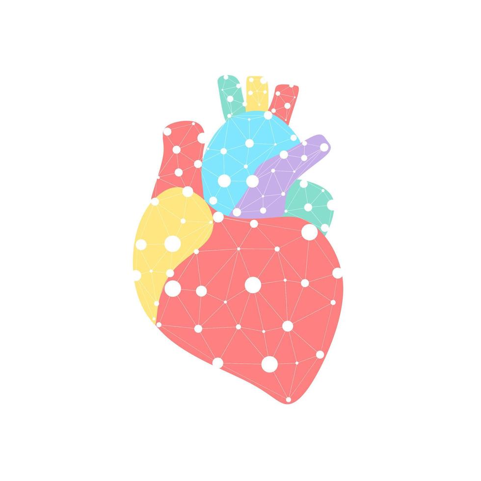 corazón sano late modelo conectado por enlace. triángulo puntos conectados punto doctor en línea. pulso cuerpo interno moderna tecnología innovadora render ilustración vectorial. concepto de cardiología anatómica. vector